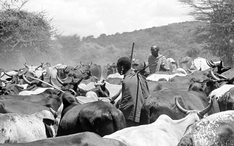 pastoral-conflict-in-Kenya