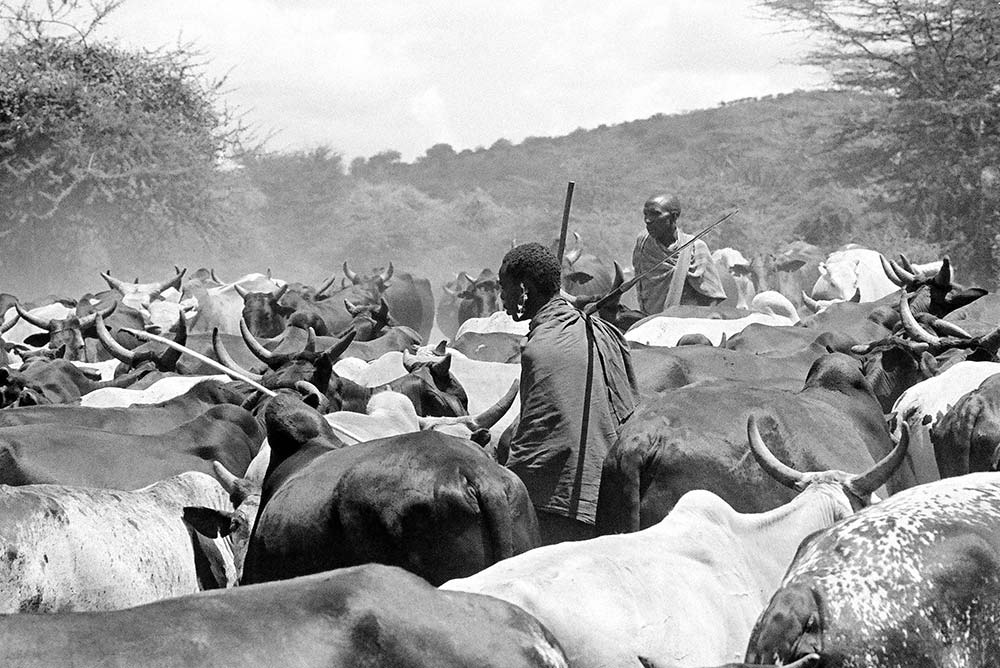 pastoral-conflict-in-Kenya
