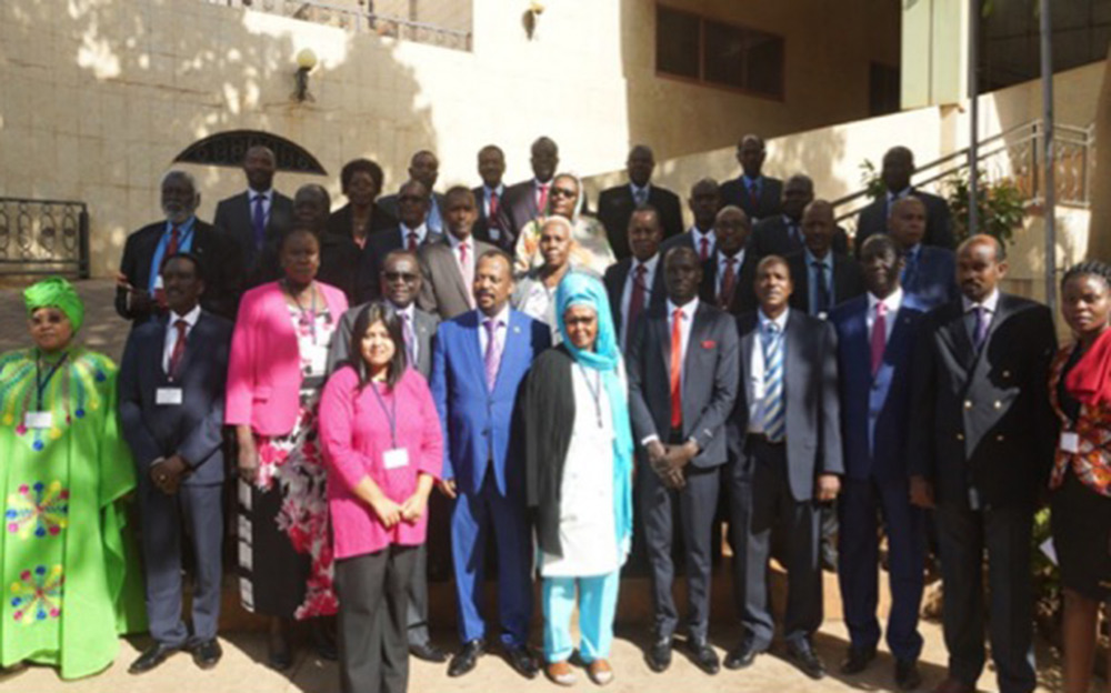 IGAD Mediation Support