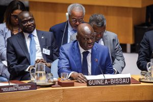 Security Council Meeting The Situation In Guinea Bissau