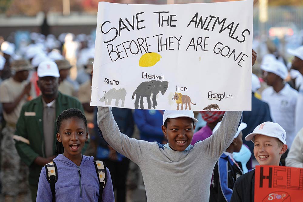 Conservation efforts