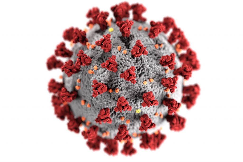 Coronavirus