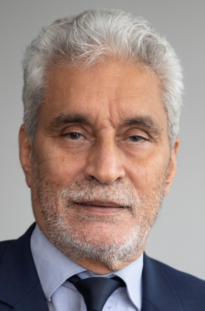 Mohamed El Hacen Lebatt