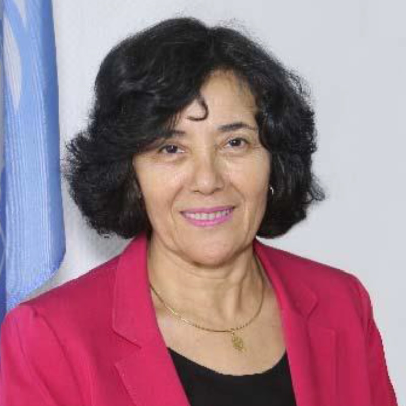 Leila Zerrougui