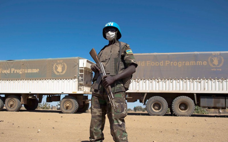 Albert Gonzalez Farran, UNAMID